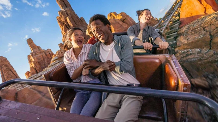 Roller Coaster Rides
